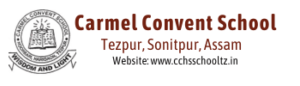 Carmel-Convent-School-2-300x86